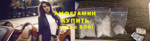 apvp Богородицк