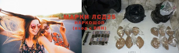 apvp Богородицк