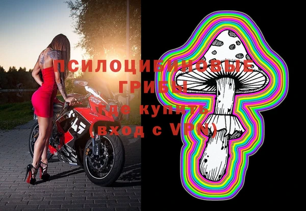 эйфоретик Богородск
